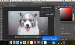 adobe-photoshop-2025_02.jpg